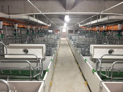 江西傲农集团养殖项目